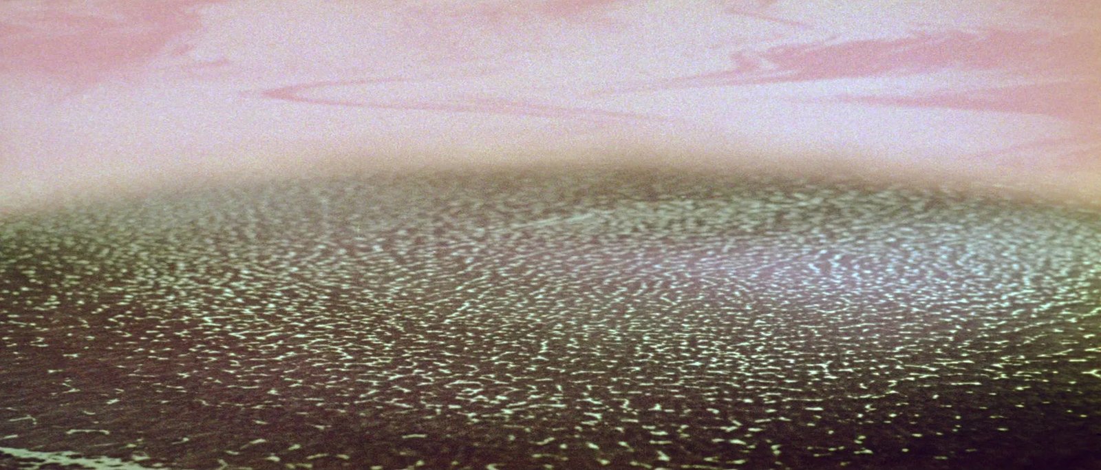 My Artistic Manifesto on AI