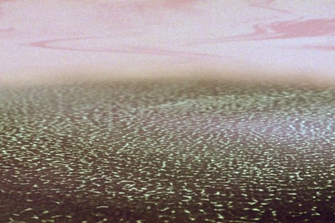 My Artistic Manifesto on AI