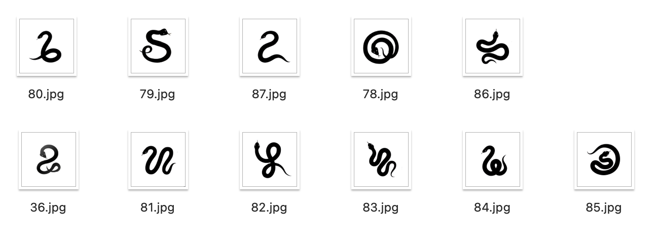 Testing dataset of five Chinese characters